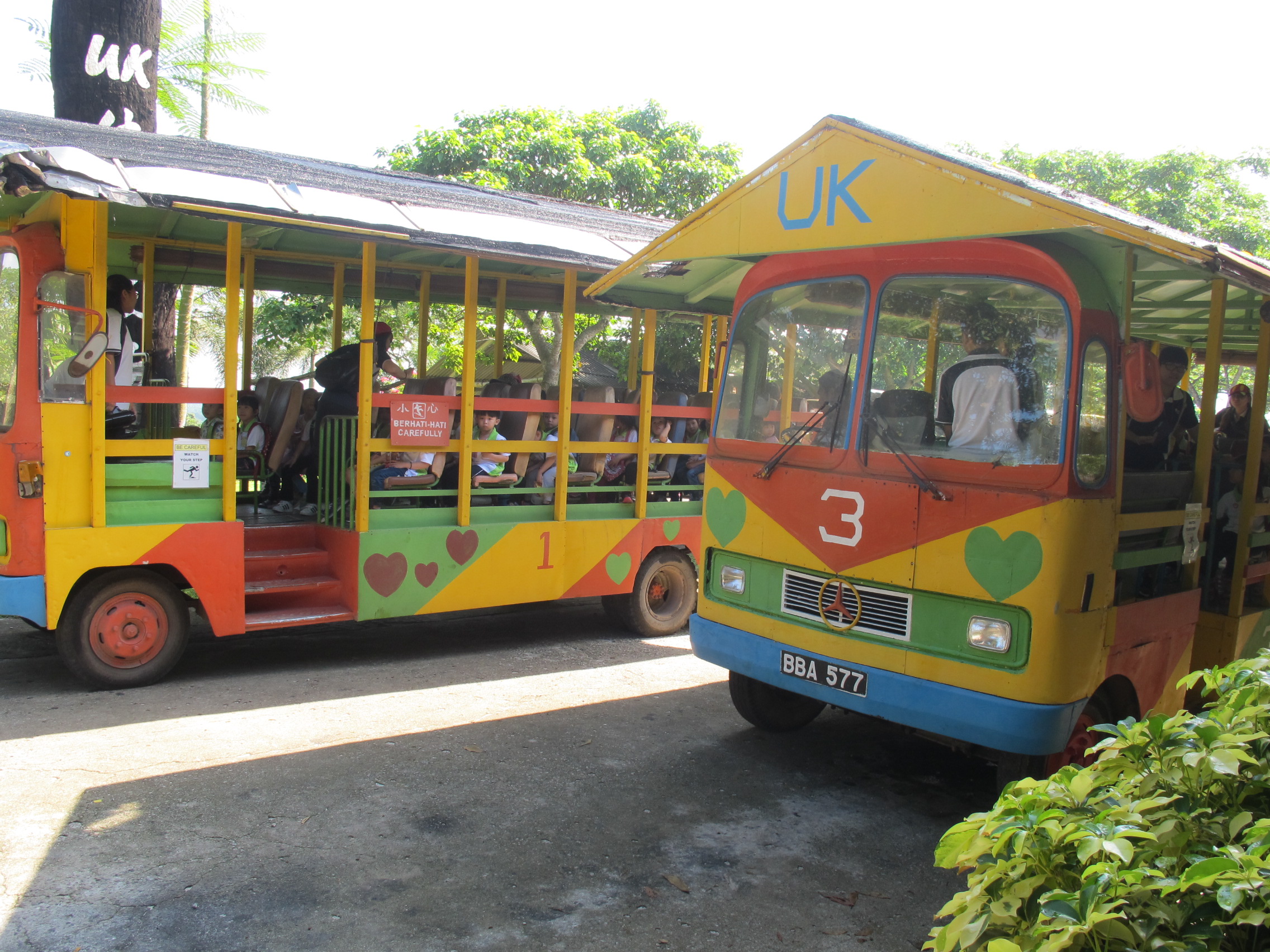 mini bus tour bus